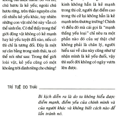 Cánh Cửa Trí Tuệ Của Người Do Thái (Tái Bản)