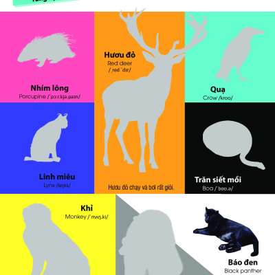	Dán Hình Nhận Biết Động Vật - Động Vật Hoang Dã (Song Ngữ Việt-Anh) _DTI