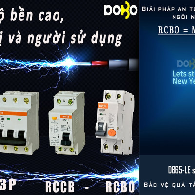 Cầu Dao Chống Giật 2 Pha Dobo Electric Korea (50A - 30mA) - Trắng