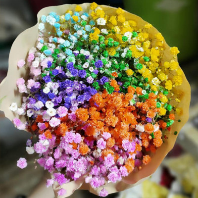 Dung Dịch Nhuộm Hoa Cắt Cành Đổi Màu (Combo 4 chai) theo Công Nghệ Israel giúp hoa nhuộm đổi màu theo ý muốn – The Color Sodium for Fresh Flowers