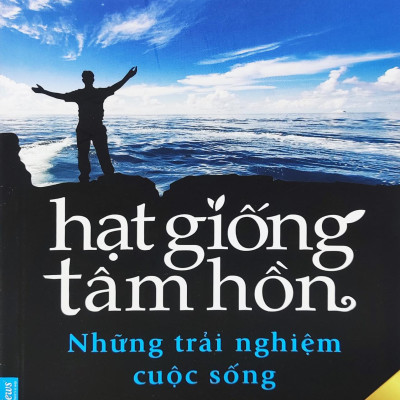 Hạt Giống Tâm Hồn - Tập 11: Những Trải Nghiệm Cuộc Sống