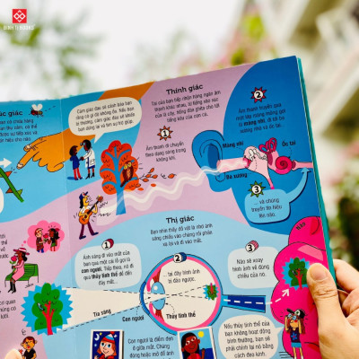 Big Book Of The Body – Cuốn Sách Khổng Lồ Về Cơ Thể Người