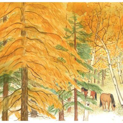 Hành Trình Tìm Gấu