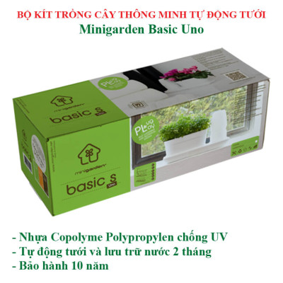 CHẬU TRỒNG CÂY ĐỂ BÀN THÔNG MINH TỰ ĐỘNG TƯỚI BASIC UNO trong 2 tháng