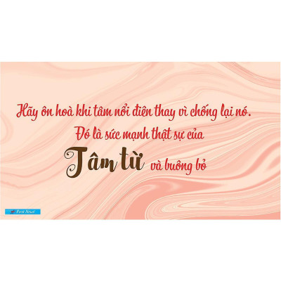 Sách - Tâm Từ - Mindfulness - First News