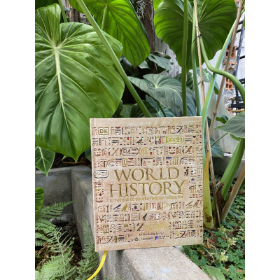 Sách - Lịch Sử Thế Giới (World History) - Mvn Books
