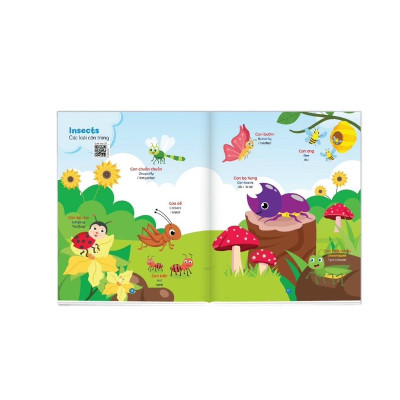 Sách - Bé học Tiếng Anh qua hình ảnh (song ngữ Anh – Việt, có phiên âm)