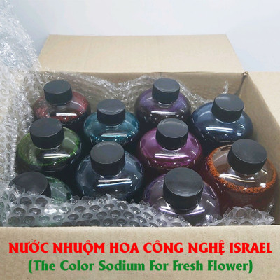 10 chai Nhuộm Hoa tươi dạng nước (Chai 1L x 10 Màu) Công Nghệ Israel giúp hoa nhuộm đổi màu theo ý muốn nhuộm trên 250 cành hoa x 1 chai