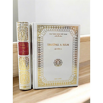 Sách - Trường A Hàm - Tiểu Tạng Kinh (Bộ 2 tập nguyên bản A Hàm Hán Tạng -  Đại Tạng Kinh Việt Nam)