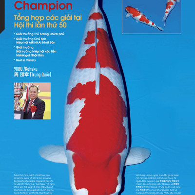 Cá Koi Vietnam - Tập 1