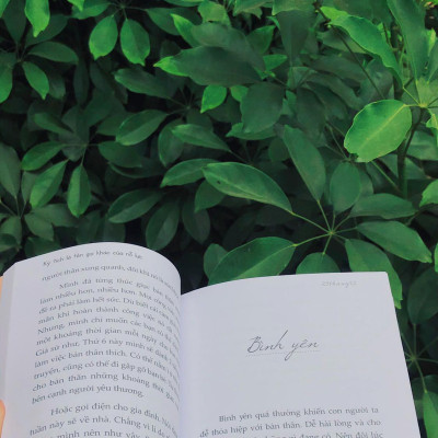 Kỳ Tích Là Tên Gọi Khác Của Nỗ Lực