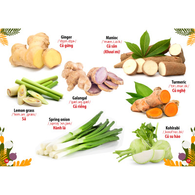 Trọn Bộ Từ Điển - Thư Viện Hình Ảnh Song Ngữ Đầu Tiên Của Bé ( Lẻ tự Chọn - Đa Dạng Chủ Đề) Côn Trùng Và bò sát, Hoa - Rau củ - Quả, Loài chim, Thế Giới Khủng Long , Phương Tiện Giao Thông, Thế Giới Động Vật, Chữ Cái Và Số Đếm,