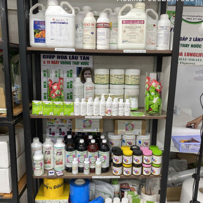 Thuốc Bột Cắm Hoa Tươi nhập khẩu Israel tại shop Florist (1 hủ pha 100L nước cắm hoa) hiệu Longlife SG là bí quyết giúp hoa cắm Xốp tươi lâu và hạn chế chăm sóc thay hoa mới