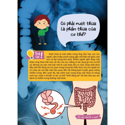 Sách - 10 Vạn Câu Hỏi Vì Sao - Kiến Thức Bách Khoa - Combo 5 Cuốn - Việt Thư