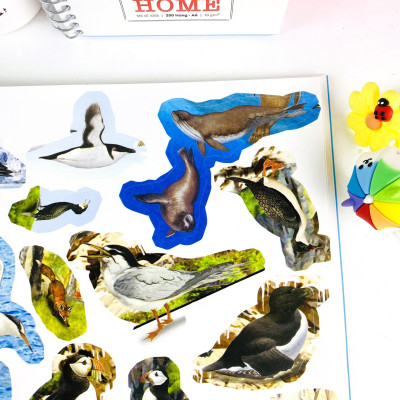 Sách - Bóc Dán Sticker Thông Minh 1000 Động Vật - Tìm Và Dán (Song Ngữ Anh Việt) - ndbooks