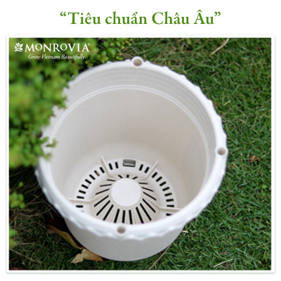 Chậu nhựa trồng cây MONROVIA thông minh, decor trang trí chuyên cho hoa hồng, cây cảnh, ban công, nhập khẩu tiêu chuẩn Châu Âu