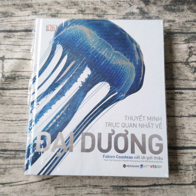 OCEAN – Thuyết Minh Trực Quan Nhất Về Đại Dương