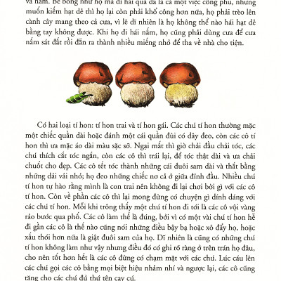  Chuyện Phiêu Lưu Của Mít Đặc Và Các Bạn - Bìa Mềm