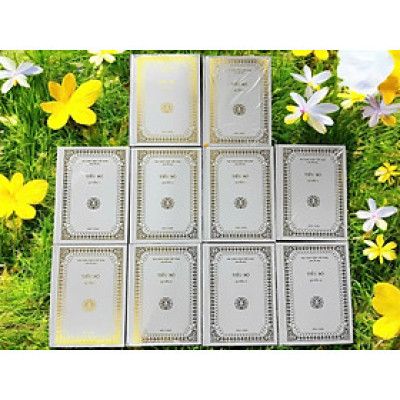 Sách Đại Tạng Kinh - Kinh tạng Nikàya Pàli (Tiểu bộ kinh 10 cuốn - Bản bìa cứng in nhũ)