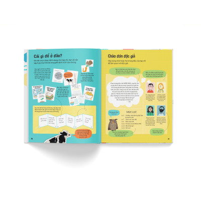 Sáng tác kịch bản của bạn