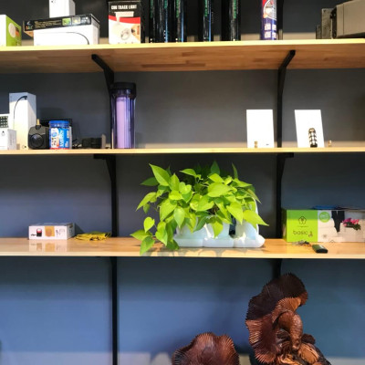 Combo 2 Bộ Chậu Tự Dưỡng Trồng Rau sạch, Trồng Cây Xanh Để Bàn Basic S & UNO nhập khẩu Bồ Đào Nha dành cho người yêu rau và cây tại nhà 