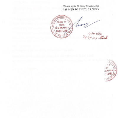 [CHÍNH HÃNG] LÁ SÂM NGỌC LINH - QUỐC BẢO VIỆT NAM | SÂM NGHỊ GIA NGỌC LINH