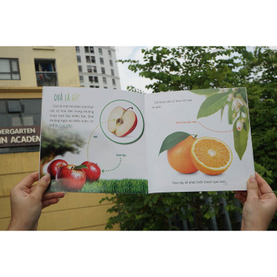 Combo (6 Tập): Healthy eating - Ăn uống lành mạnh