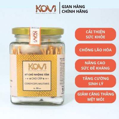 Đông trùng hạ thảo KOVI ký chủ nhộng tằm nguyên con cao cấp | 50 con | Đẹp đẳng cấp sang trọng
