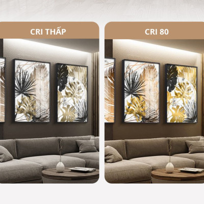 Đèn bán nguyệt Panasonic Công suất 18W/36W Ánh sáng Ấm/Trung tính/Trắng