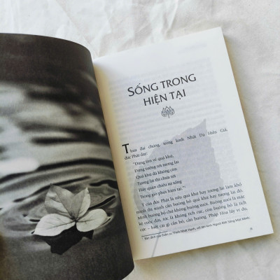 Chia Sẻ Từ Trái Tim (Thích Pháp Hòa) + Không Diệt Không Sinh Đừng Sợ Hãi