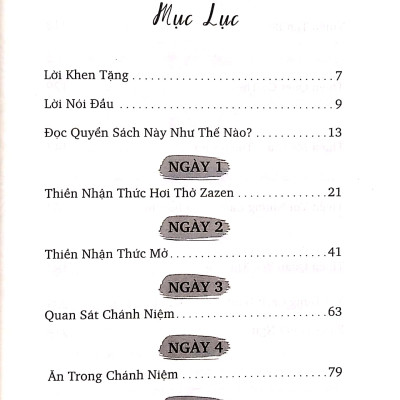 10 Ngày Hành Thiền 