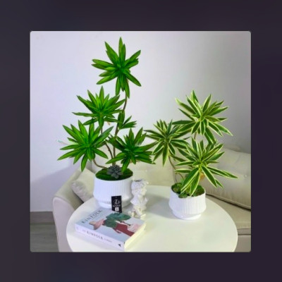 Bộ cây phát lộc giả 5 nhánh - Kích thước 80cm - Cây giả, hoa lụa Decor trang trí nhà cửa