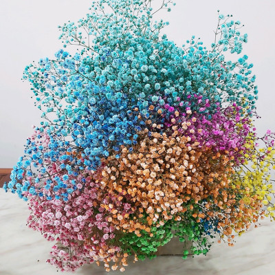 Dung Dịch Nhuộm Hoa Cắt Cành Đổi Màu (Combo 4 chai) theo Công Nghệ Israel giúp hoa nhuộm đổi màu theo ý muốn – The Color Sodium for Fresh Flowers