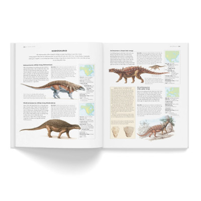 Bách Khoa Khủng Long Toàn Tập - Bìa Cứng