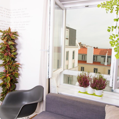 Chậu Để Bàn Tự Tưới và Tự bón phân Basic S , nhập khẩu Minigarden dành cho người yêu cây xanh nhưng không có thời gian chăm sóc cây (Giải pháp trồng cây TỰ DƯỠNG bền vững) (1 bộ gồm 2 chậu S, 1 khay hứng nước, 1 bình chứa nước và phân)