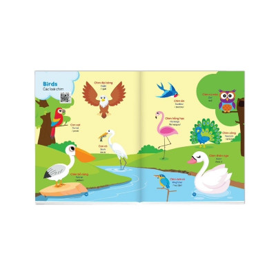 Sách - Bé học Tiếng Anh qua hình ảnh (song ngữ Anh – Việt, có phiên âm)