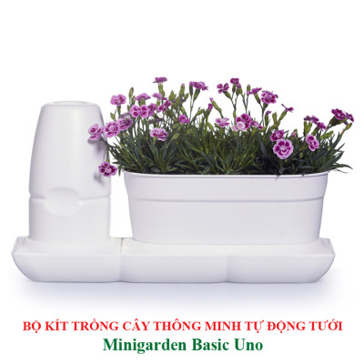 Bộ Chậu Trồng Cây Văn Phòng Thông Minh Tự Động Tưới Basic S Nhập Khẩu Châu Âu, Giúp Cây Phát Triển Tốt