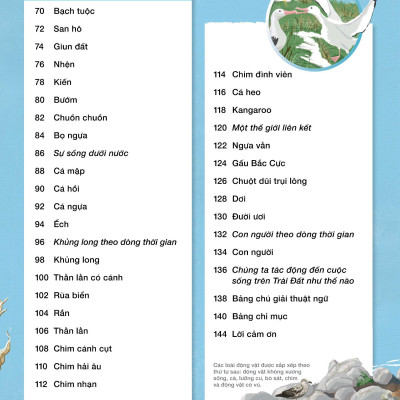 Vòng Đời - Life Cycles