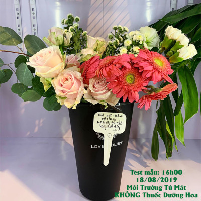 Nước cắm hoa lâu tàn (Set 100 gói) dạng bột nhập khẩu Israel Food For CUT Flowers mỗi gói tạo ra 0.5L dung dịch xử lý hoa cắm bình