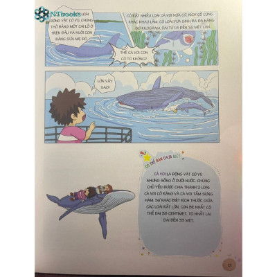 Sách Úm Ba La, Hóa Ra Thần Đồng - Thế Giới Đại Dương (6-12 Tuổi)