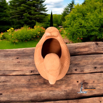 Chậu Gốm Đất Nung Hình Con Vịt Ducky