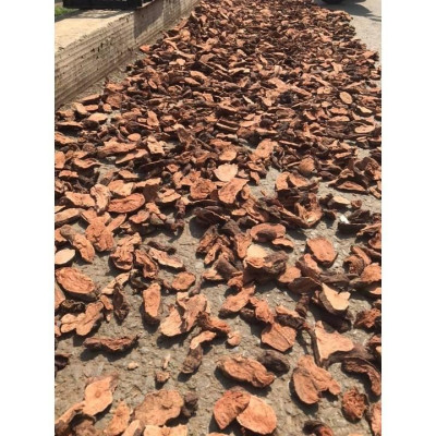 cây hà thủ ô đỏ thái lát 1kg