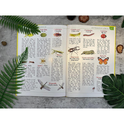 Sách - Bách khoa thư về thế giới động vật - Bìa cứng - Chính Thông Book