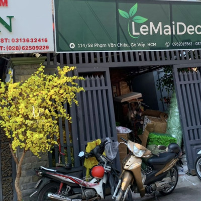 Cây mai giả trang trí Tết 2025 SHIP HOẢ TỐC HCM cây mai lắp ráp cao 1m5 2m mai Vàng nhận đặt mẫu theo yêu cầu