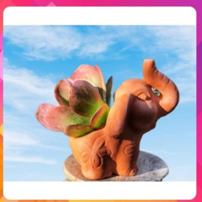 Chậu Gốm Đất Nung (terracotta) Hình Chú VOI TAI TO