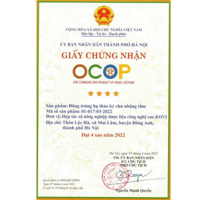 Đông trùng hạ thảo KOVI ký chủ nhộng tằm nguyên con cao cấp | 50 con | Đẹp đẳng cấp sang trọng