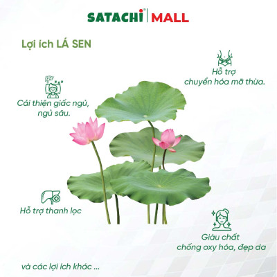 Viên Bột Lá Sen Nguyên Chất SATACHI – 100% Lá Sen – Dạng Viên Tiện Lợi – Hộp 180 viên