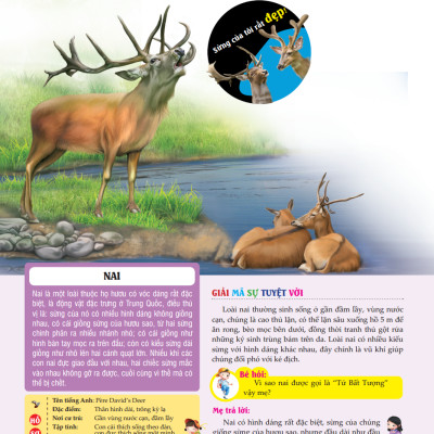 Bách Khoa Toàn Thư Tìm Hiểu Về Trái Đất - Thế Giới Động Vật (Tái Bản 2023)