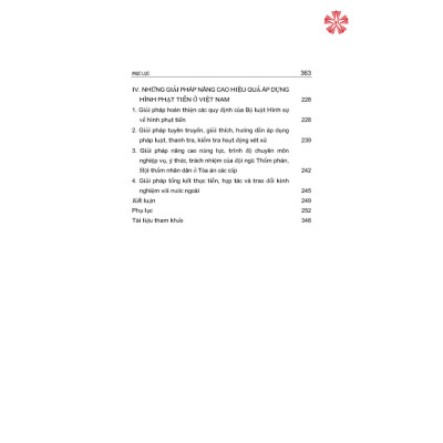 Hình phạt tiền trong pháp luật hình sự Việt Nam và thực tiễn áp dụng