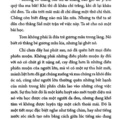 Sách: Những Cuộc Phiêu Lưu Của Tom Sawyer